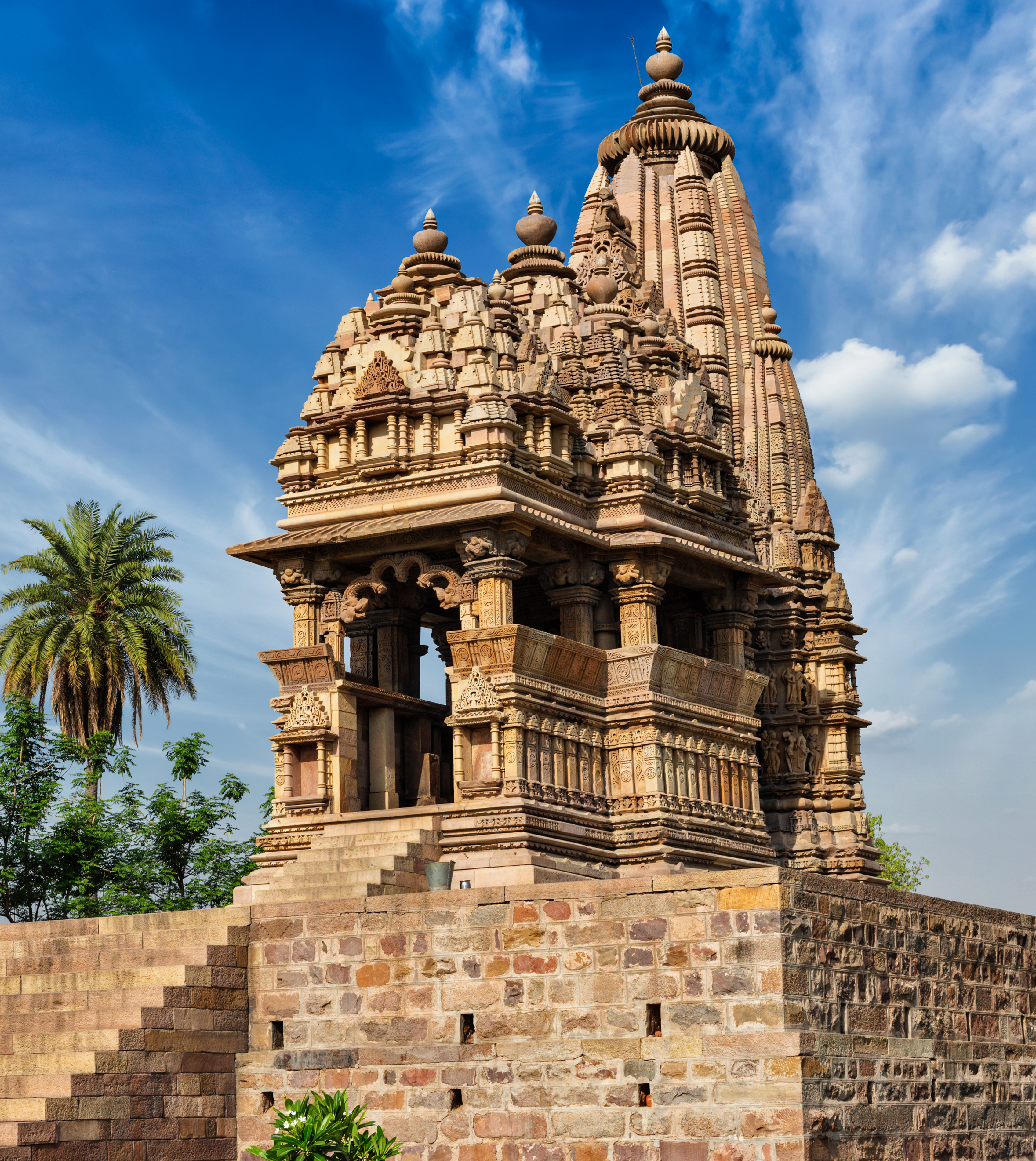 Pandit performing a ritual